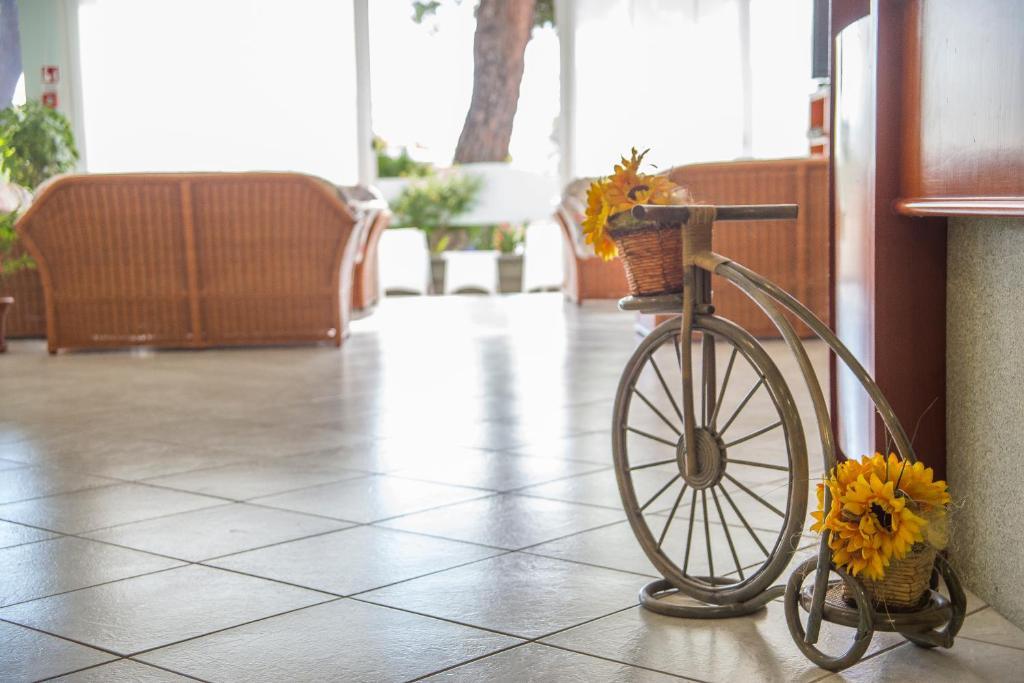 Ciccio Hotel Misano Adriatico Ngoại thất bức ảnh