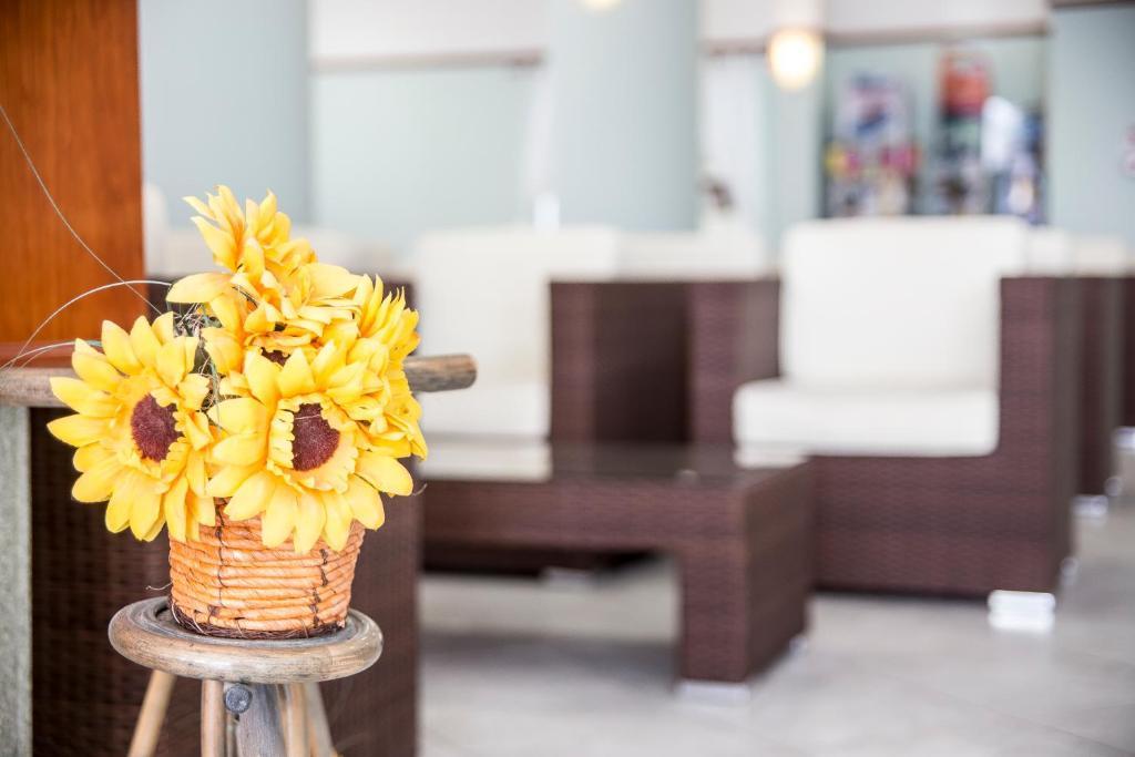 Ciccio Hotel Misano Adriatico Ngoại thất bức ảnh